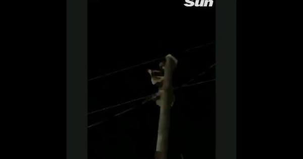 Thử 1 lần chơi lớn, người đàn ông treo lên cột điện "sờ dây" khiến mọi người trầm trồ