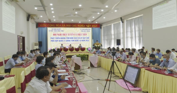 Phát triển ngành tôm nước lợ theo hướng nâng cao giá trị và phát triển bền vững