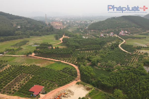 Bắc Giang: Vẫn còn tình trạng chuyển nhượng rừng và đất lâm nghiệp