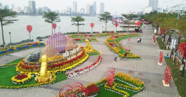 Đường hoa Đà Nẵng tuyệt đẹp, rực rỡ những ngày cuối năm