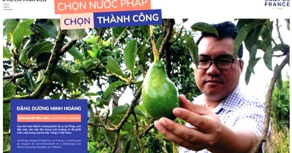 Chủ nhiệm Mạng lưới Lương Định Của toàn quốc vào top 20 Gương mặt trẻ Việt Nam tiêu biểu 2022