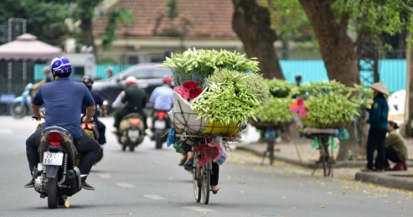 Tháng tư về, hoa loa kèn tinh khôi xuống phố Hà Nội
