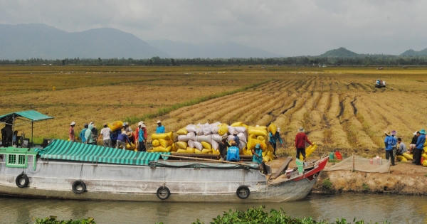Phê duyệt Quy hoạch tổng hợp lưu vực sông Cửu Long thời kỳ 2021-2030, tầm nhìn đến năm 2050