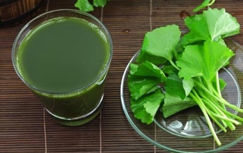 Những bài thuốc dân gian chữa sốt xuất huyết hiệu quả Những bài thuốc dân gian chữa sốt xuất huyết hiệu quả