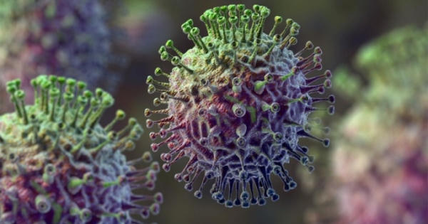 Việt Nam xuất hiện ca cúm A(H5N1) trên người Việt Nam xuất hiện ca cúm A(H5N1) trên người