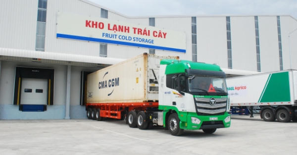 Quảng Nam phấn đấu đạt hơn 68.000 tỷ đồng từ bán lẻ, doanh thu dịch vụ