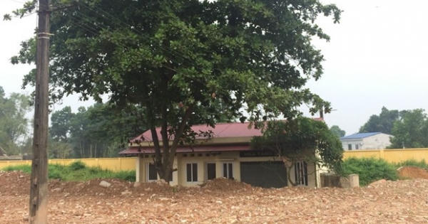 Vụ phân lô bán nền ở Thái Nguyên: Đừng để người sống, người chết không nơi nương náu