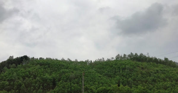 Kỳ 4: Sự sống hồi sinh trên đất mỏ sau nạn núp bóng dự án để… ăn cắp “vàng đen”