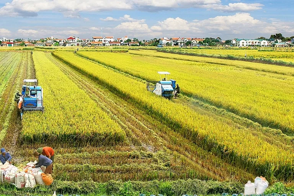 Những đối tượng nào được miễn thuế sử dụng đất nông nghiệp?