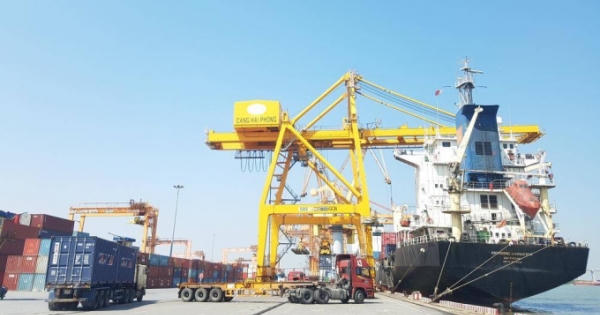 Hải Phòng: Thực hiện chính sách miễn lưu bãi tại cảng dịp Tết Nguyên đán Nhâm Dần Hải Phòng: Thực hiện chính sách miễn lưu bãi tại cảng dịp Tết Nguyên đán Nhâm Dần