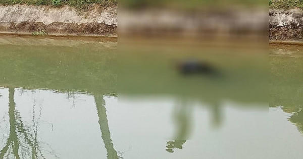 Ngày 30 Tết, bàng hoàng phát hiện thi thể cụ ông nổi trên kênh thủy lợi