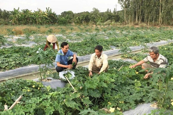Thu nhập nông thôn ở Cần Thơ đạt gần 97 triệu đồng một người/năm Thu nhập nông thôn ở Cần Thơ đạt gần 97 triệu đồng một người/năm