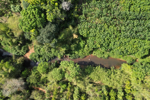 Tiến độ triển khai cầu Mã Đà tới giai đoạn nào?