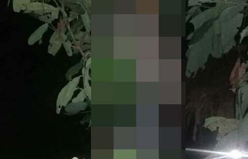 Đắk Lắk: Người dân hoảng hồn khi phát hiện người đàn ông treo cổ trong rừng