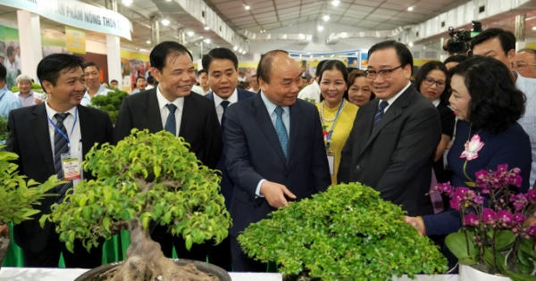 Thủ tướng dự hội nghị tổng kết xây dựng nông thôn mới tại Hà Nội Thủ tướng dự hội nghị tổng kết xây dựng nông thôn mới tại Hà Nội
