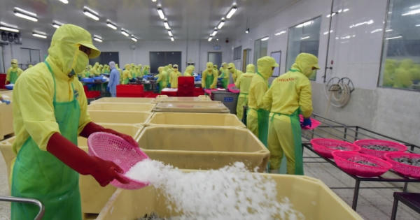 Tầm nhìn chiến lược ngành thuỷ hải sản và nông nghiệp xuất khẩu của Cà Mau