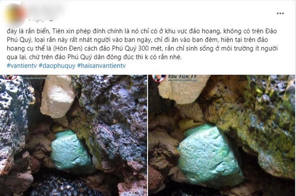 Thực hư chuyện ổ rắn “độc nhất thế giới” xuất hiện ở đảo Phú Quý