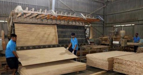 Bộ Tài chính thành lập đoàn kiểm tra xác minh có hay không việc gỗ ván ghép ùn ứ tại cảng vì bị áp thuế 25%