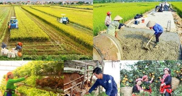 Kiểm tra, giám sát thực hiện các chương trình mục tiêu quốc gia tại 3 Vùng Kiểm tra, giám sát thực hiện các chương trình mục tiêu quốc gia tại 3 Vùng