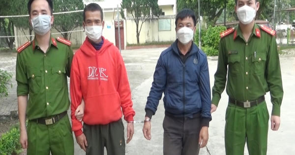 Thanh Hoá: Vào rừng chăn thả trâu rồi trộm luôn trâu người khác