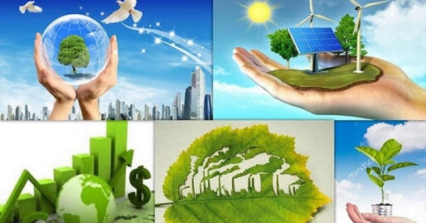 Kế hoạch tổ chức thẩm định Quy hoạch bảo vệ môi trường quốc gia