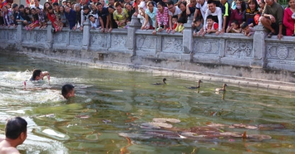 Khán giả cười ngả nghiêng xem trò bắt vịt, bắt lợn