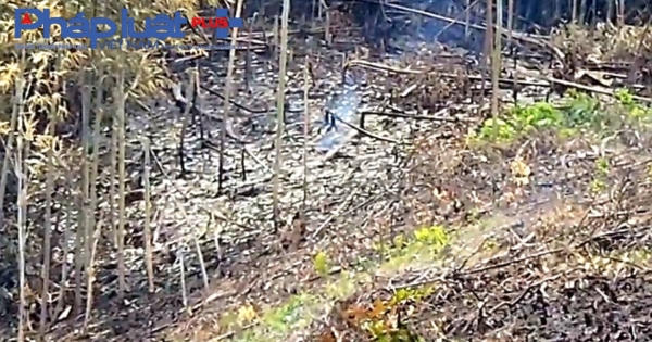 Yên Bái: Xót xa cảnh tượng nhiều ha rừng đầu nguồn bị huỷ hoại không thương tiếc