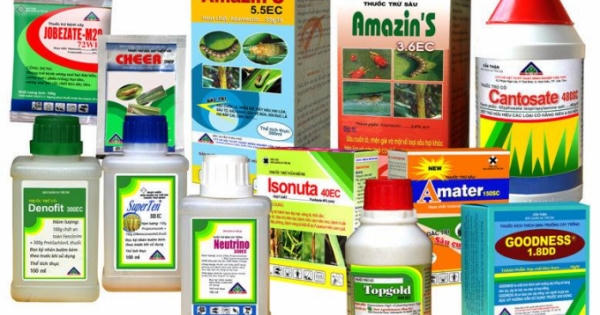 Quỳnh Nhai - Sơn La: Mẹ kế đầu độc con riêng của chồng bằng thuốc trừ sâu