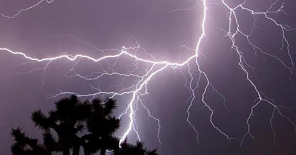 Thái Nguyên: Thiếu nữ tử vong do sét đánh khi đi hái chè