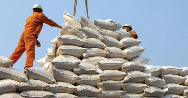 Chính phủ Quyết định cấp gần 1000 tấn gạo cứu đói cho nhân dân ở Cao Bằng và Sơn La