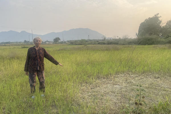 Tháo gỡ vướng mắc đất đai, khơi thông quyền lợi cho người dân tại TP Phú Mỹ