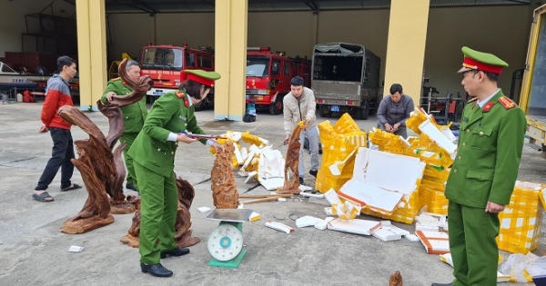 Phát hiện xe thư báo vận chuyển trái phép gỗ