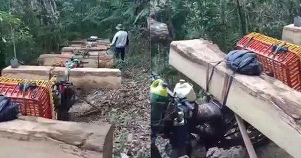 Mật phục bắt giữ đoàn “lâm tặc” đang khai thác, vận chuyển gỗ trái phép