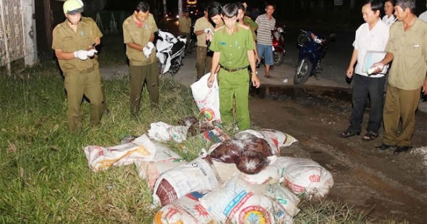 Rùng mình phát hiện 600kg tiết heo bốc mùi vô chủ tại quốc lộ 91