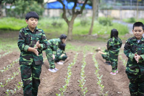 Cảnh giác trước chiêu trò lừa đảo mạo danh Học kỳ Quân đội, Trại hè Công an