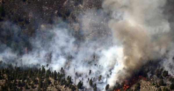 Nghệ An: Hàng chục ha rừng giáp biên giới bị thiêu rụi