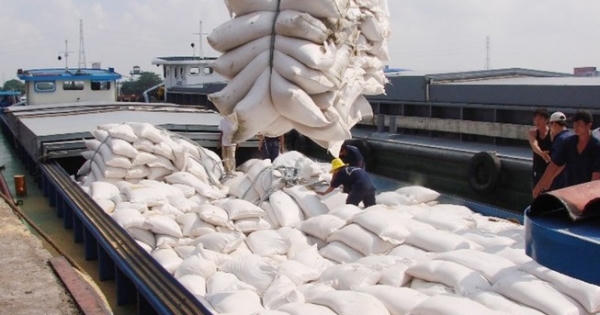 Phó Thủ tướng kết luận về việc xuất khẩu gạo