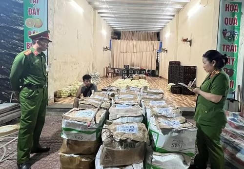 Tiêu huỷ 300kg rau củ dương tính với chất độc hại tại Sơn La Tiêu huỷ 300kg rau củ dương tính với chất độc hại tại Sơn La