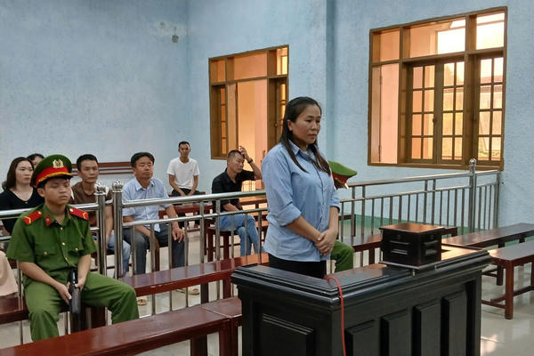 Tham ô hàng trăm triệu đồng, nữ kế toán ở Gia Lai bị tuyên phạt 4 năm 6 tháng tù giam