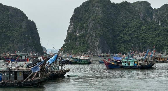 Ứng phó bão số 5, tỉnh Quảng Ninh cấm biển từ 15 giờ ngày 19/10