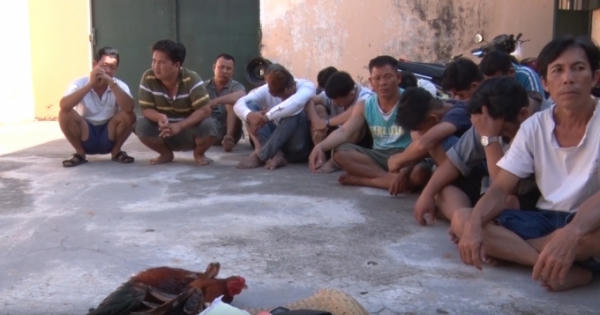 An Giang: Bắt quả tang 16 đối tượng đánh bạc dưới hình thức đá gà