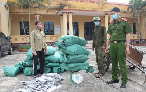 Dùng xe bò vận chuyển gần 300 kg pháo đi bán
