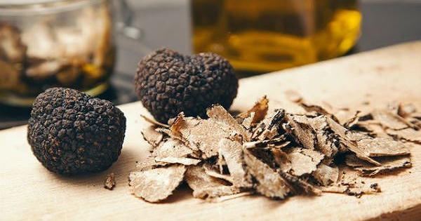 Nấm “kim cương đen” chỉ giới siêu giàu mới có cơ hội “nếm” đắt cỡ nào?