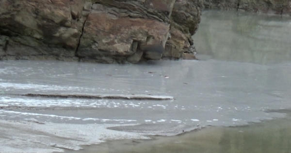 Bắc Giang: Xưởng tuyển Á Cường hoạt động không phép, xả thải “giết chết” sông Cẩm Đàn