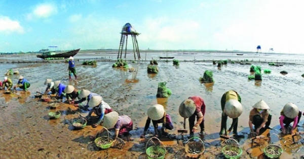 Audio địa ốc 360s: Thành lập Khu kinh tế ven biển Thái Bình quy mô hơn 30 nghìn ha