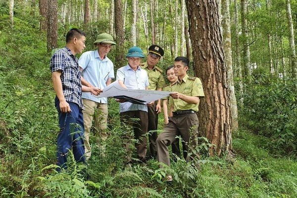 Phát hiện 3.327 vụ vi phạm ảnh hưởng đến rừng trong năm 2023