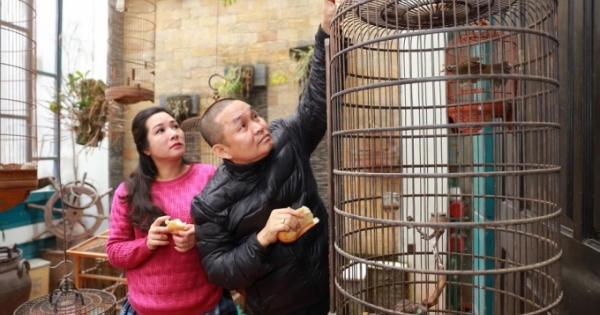 Phát sốt với hình ảnh Xuân Hinh, Thanh Thanh Hiền cho chim ăn bánh mì