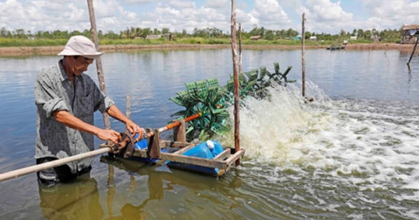 Dấu ấn vốn chính sách trong giảm nghèo bền vững ở Sóc Trăng