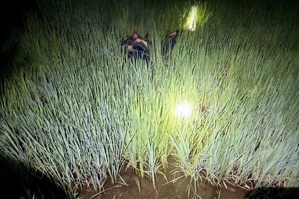 Khởi tố người đàn ông ở Gia Lai đặt bẫy chuột bằng điện khiến 2 người tử vong