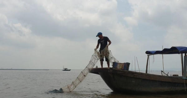 Nỗi lo khi ngư trường Tràng Cát bị “xóa sổ”
